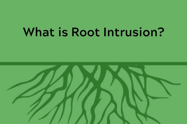 what is root intrusion