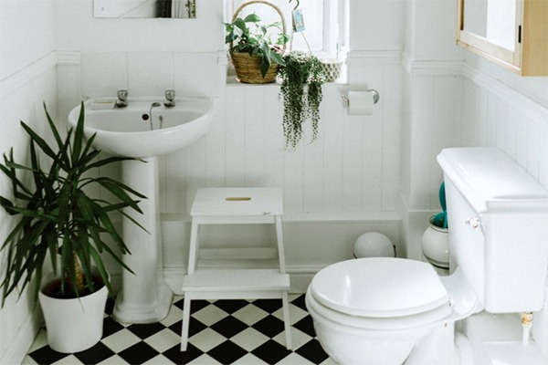 common home plumbing problems to avoid toilet bathroom and kitchen