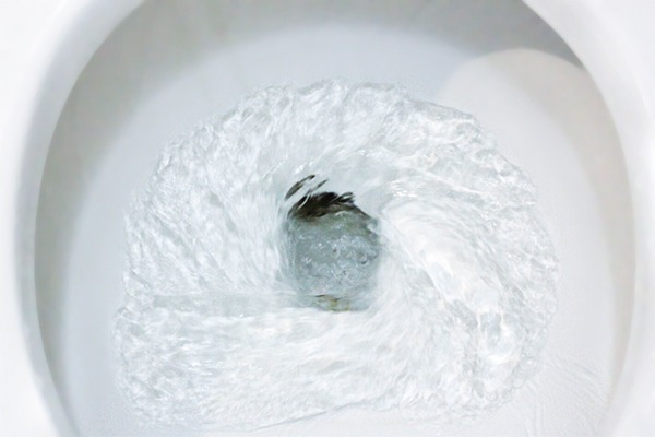 slow toilet plumbing problems trinity plumbing