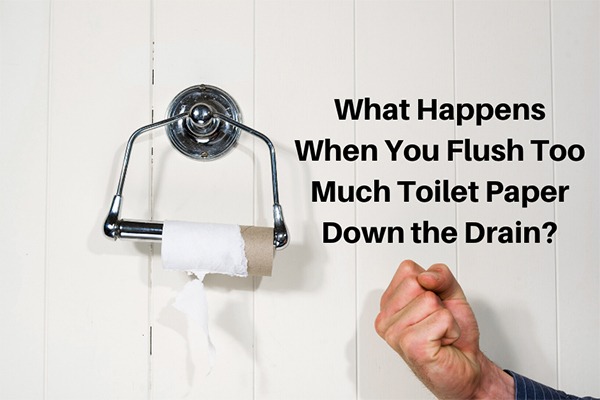 trinity plumbing what happens when you flush too much toilet paper drain problems