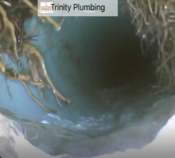 video pipeline inspection fix sewer Root Intrusion blockage trinity plumbing